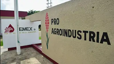 México: el Gobierno entrega fertilizante gratuito a dos millones de pequeños productores México: el Gobierno entrega fertilizante gratuito a dos millones de pequeños productores