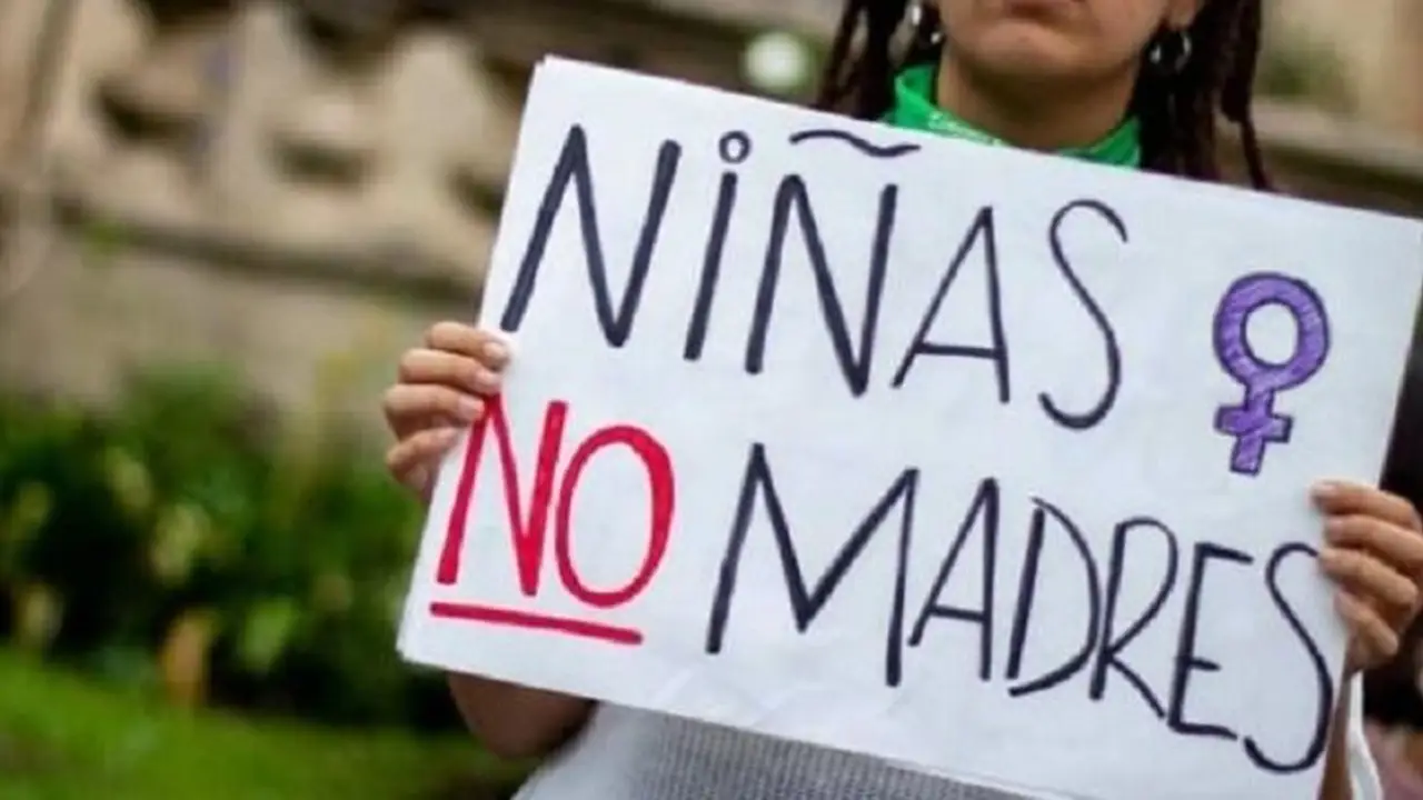 Grávida: la organización que intentó frenar un aborto legal en Santa Fe