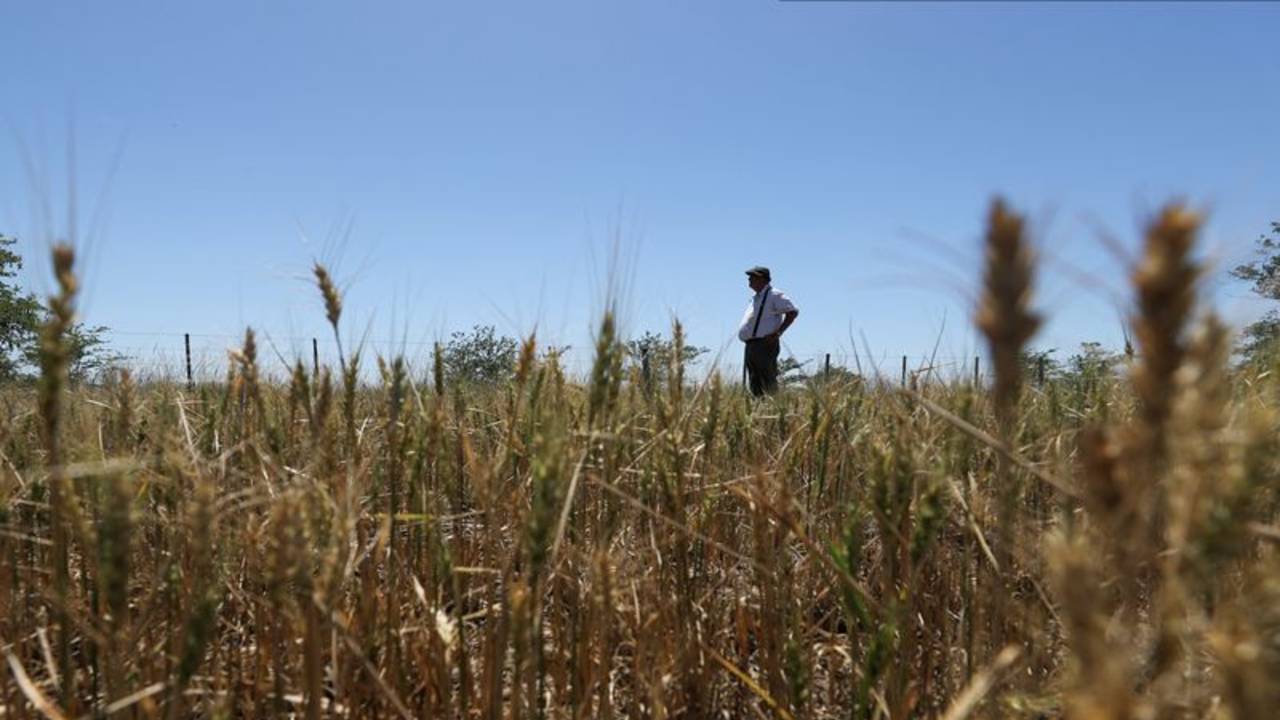 Molinos y panaderos aguardan una actualización del subsidio a la harina