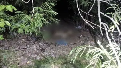Hallaron un cuerpo desnudo y parcialmente quemado en el CEAMSE Hallaron un cuerpo desnudo y parcialmente quemado en el CEAMSE