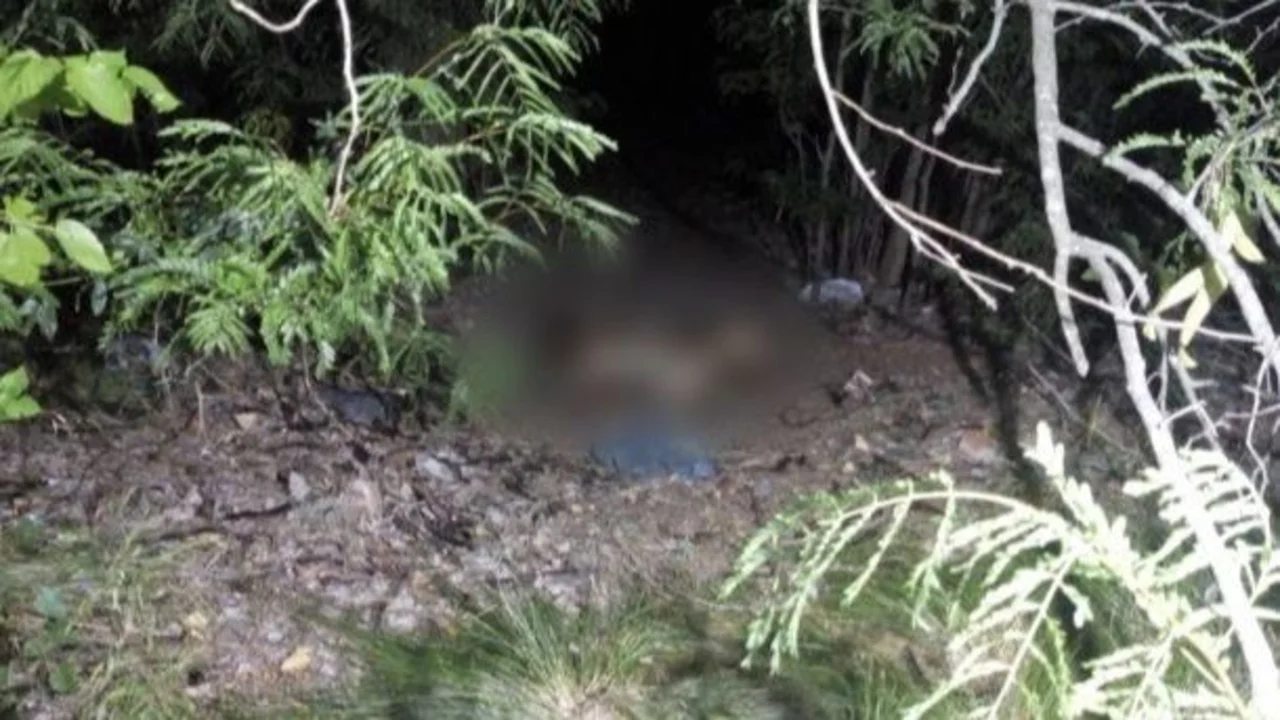 Hallaron un cuerpo desnudo y parcialmente quemado en el CEAMSE