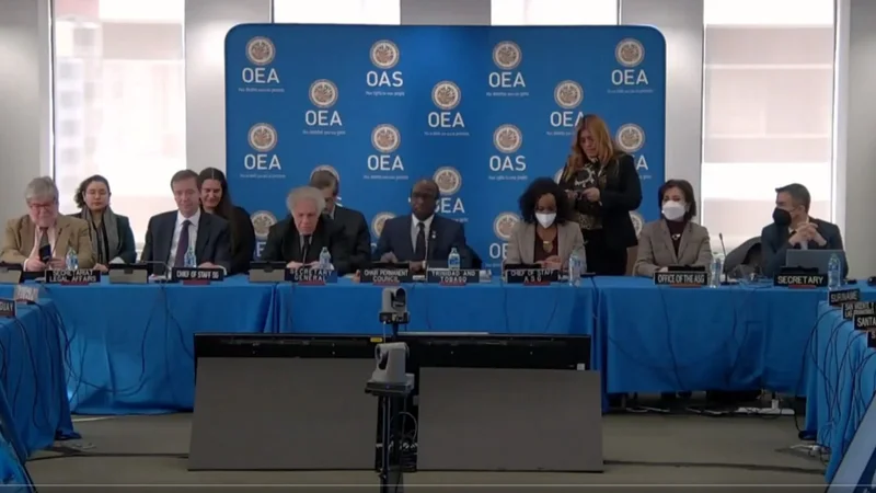 La OEA condenó los actos de "caracter fascista" en Brasil