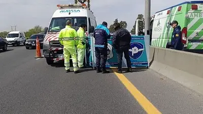 Discutían, cruzaron la autopista 25 de Mayo y los embistió una combi: murieron en el acto Discutían, cruzaron la autopista 25 de Mayo y los embistió una combi: murieron en el acto