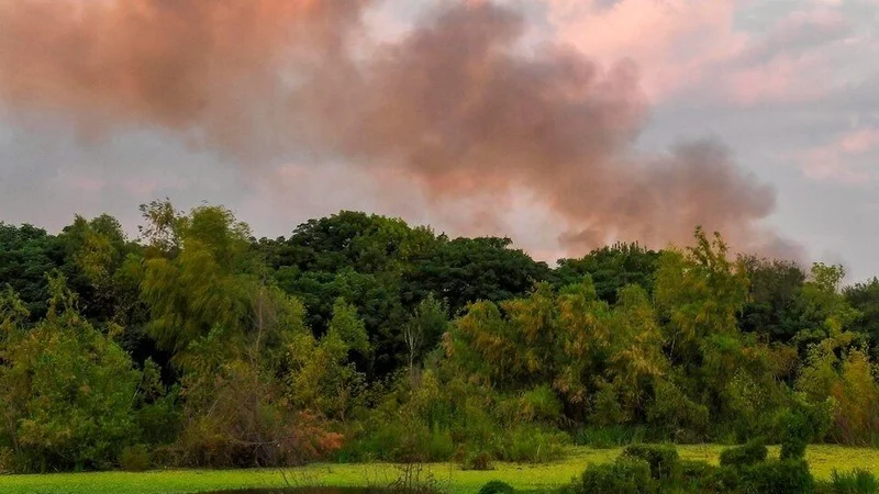 Reserva Ecológica Costanera Sur