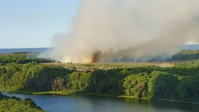 Incendio en la Reserva Ecológica: cómo está el fuego y qué dijo Larreta del incidente Incendio en la Reserva Ecológica: cómo está el fuego y qué dijo Larreta del incidente