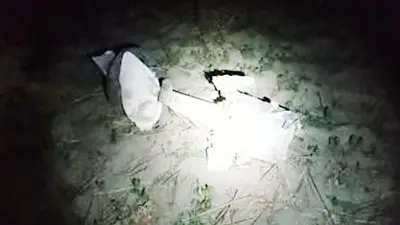 Chaco: cinco delincuentes robaron un avión, lo chocaron y murieron Chaco: cinco delincuentes robaron un avión, lo chocaron y murieron