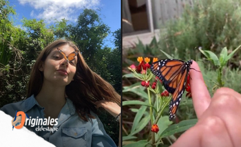 Cría mariposas y quiere llevar su proyecto a todos los jardines del país | Historias de vida