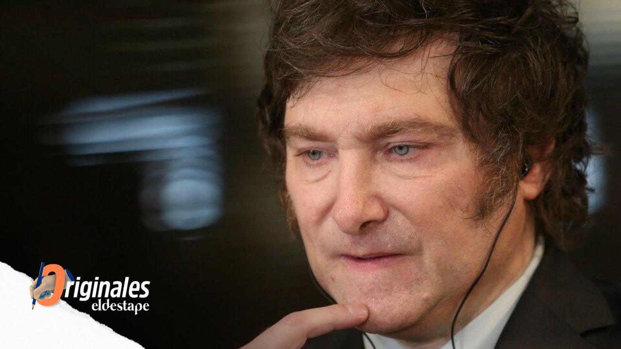 El mapa libertario: qué tiene Milei en cada provincia