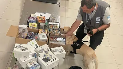 Querían contrabandear drones y cartas de Pokemon y Dragon Ball por miles de dólares pero la Aduana lo desbarató Querían contrabandear drones y cartas de Pokemon y Dragon Ball por miles de dólares pero la Aduana lo desbarató