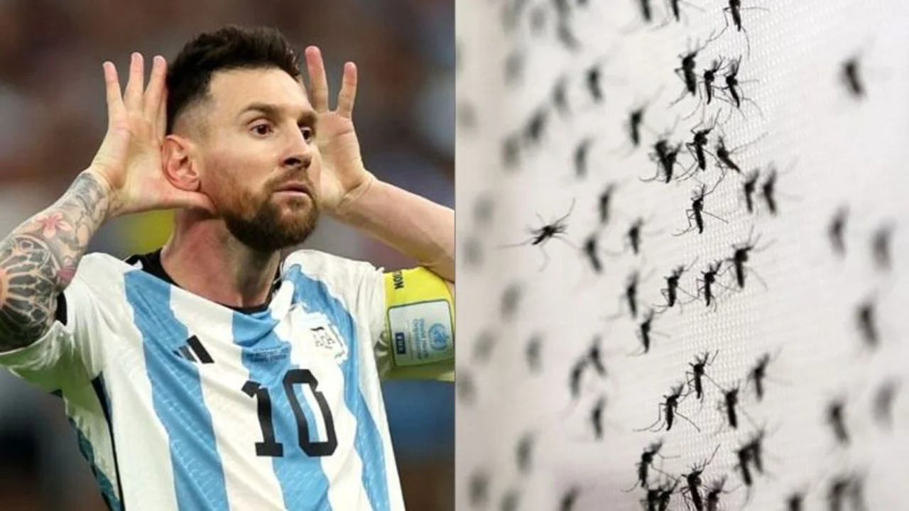 Lionel Messi, mosquitos