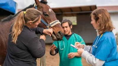 Preocupa la encefalomielitis equina: tomaron nuevas medidas de prevención y suspendieron actividades Preocupa la encefalomielitis equina: tomaron nuevas medidas de prevención y suspendieron actividades