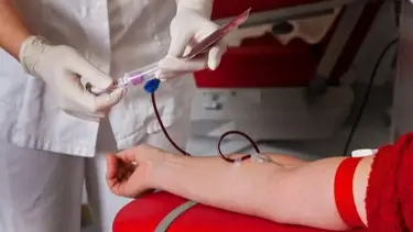 Congreso Argentino de Medicina Transfusional: Formosa brilló por el Centro Provincial de Hemoterapia
