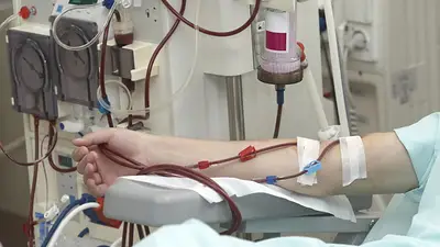 Se consiguió un importante logro para la salud pública en Argentina: de qué se trata Se consiguió un importante logro para la salud pública en Argentina: de qué se trata