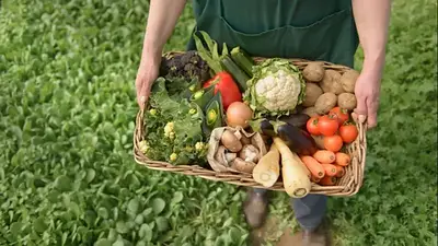 PAIPPA: se cumplen 28 años de la creación del programa alimentario de Formosa que cambió la vida de los productores PAIPPA: se cumplen 28 años de la creación del programa alimentario de Formosa que cambió la vida de los productores