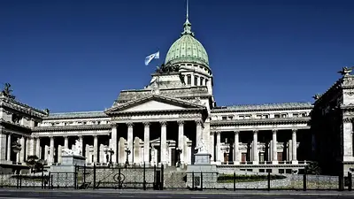 Fuerte advertencia de científicos al Congreso: "El DNU puede ser una condena a muerte" Fuerte advertencia de científicos al Congreso: "El DNU puede ser una condena a muerte"