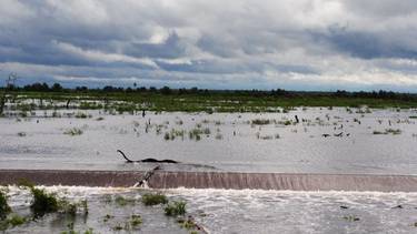 Alivio para Formosa: se registró un importante ingreso de agua