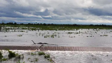 Alivio para Formosa: se registró un importante ingreso de agua