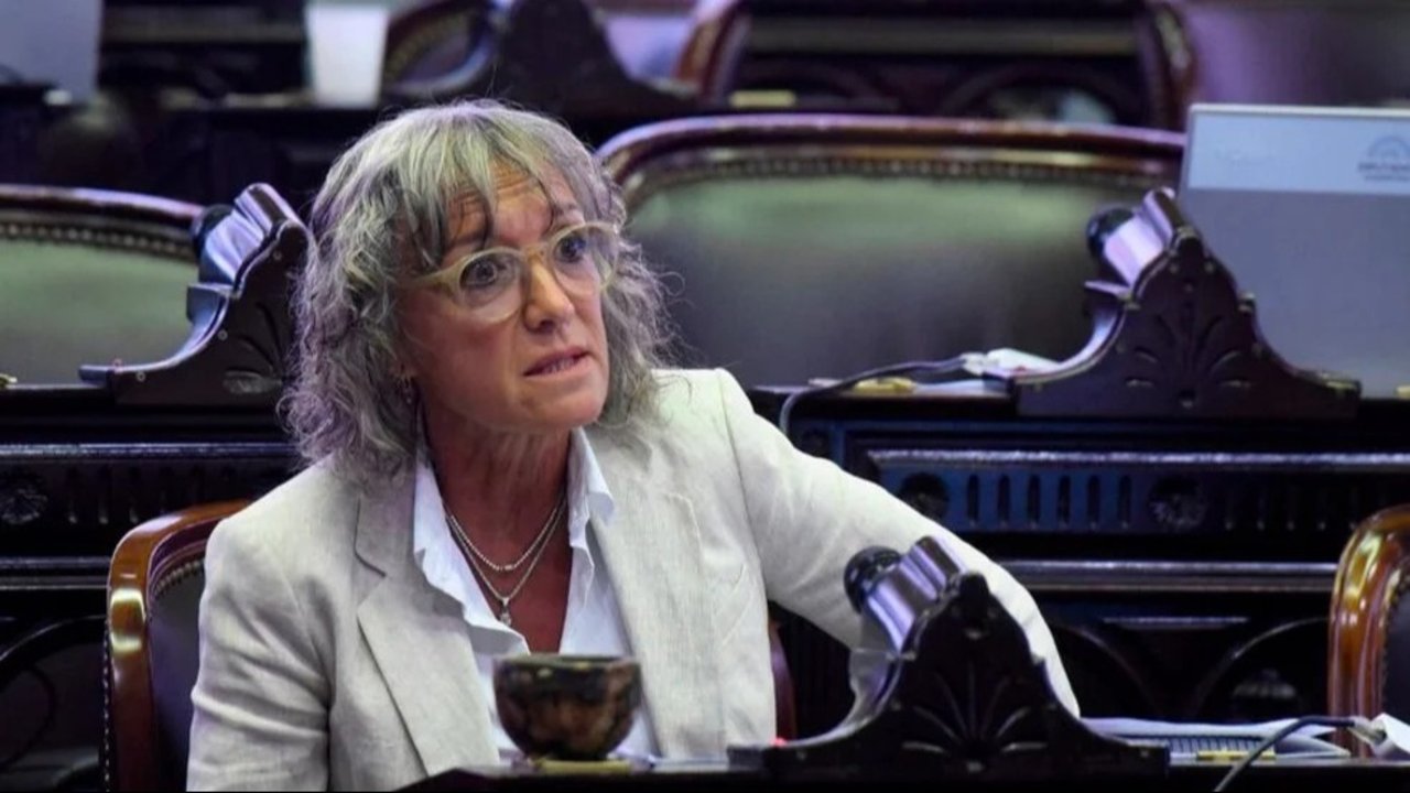 Diputada del bloque de Pichetto liquidó la Ley Ómnibus: "Destruye cosas que funcionaban bien"