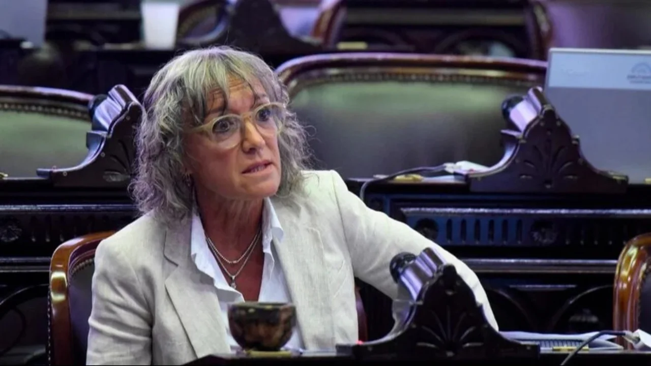 Diputada del bloque de Pichetto liquidó la Ley Ómnibus: "Destruye cosas que funcionaban bien"