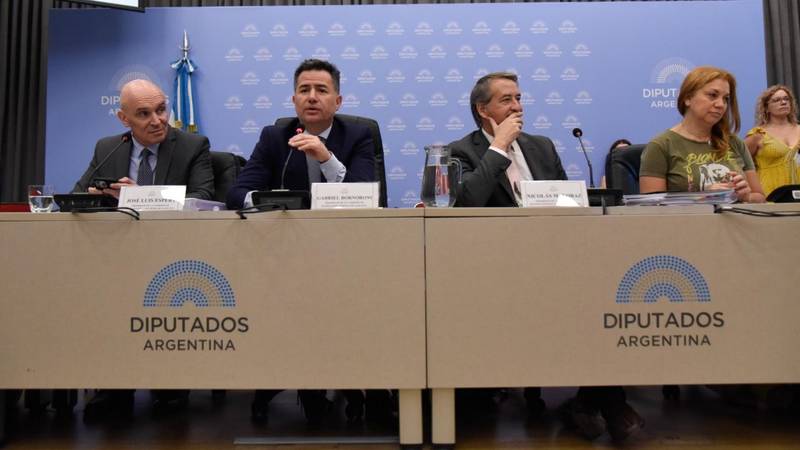 Sin acuerdo para la ley "ómnibus": PRO, UCR y Hacemos buscan una respuesta de Milei que no llega Sin acuerdo para la ley "ómnibus": PRO, UCR y Hacemos buscan una respuesta de Milei que no llega