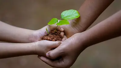 Día Mundial de la Educación Ambiental: por qué se conmemora el 26 de enero Día Mundial de la Educación Ambiental: por qué se conmemora el 26 de enero