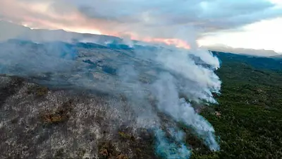 Agentes provinciales y nacionales combaten el incendio en Los Alerces Agentes provinciales y nacionales combaten el incendio en Los Alerces