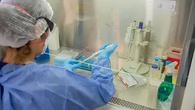 Salud pública: Formosa registró un descenso en el conteo de casos de COVID-19 Salud pública: Formosa registró un descenso en el conteo de casos de COVID-19
