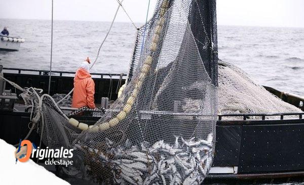 Reclaman Rechazar O Eliminar 28 Artículos De La Ley ómnibus Vinculados