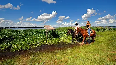 Vacaciones en Formosa: el cronograma de actividades y eventos que despliega la provincia para la temporada 2025 Vacaciones en Formosa: el cronograma de actividades y eventos que despliega la provincia para la temporada 2025