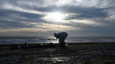 Rusia despeja las playas tras derrame de petróleo en el mar Negro, declara emergencia en Crimea Rusia despeja las playas tras derrame de petróleo en el mar Negro, declara emergencia en Crimea