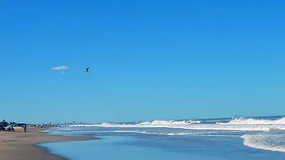 Qué pasó con el destino con playa que está a cuatro horas de Buenos Aires y es poco concurrido. Qué hacer en Mar Azul. Qué pasó con el destino con playa que está a cuatro horas de Buenos Aires y es poco concurrido. Qué hacer en Mar Azul.