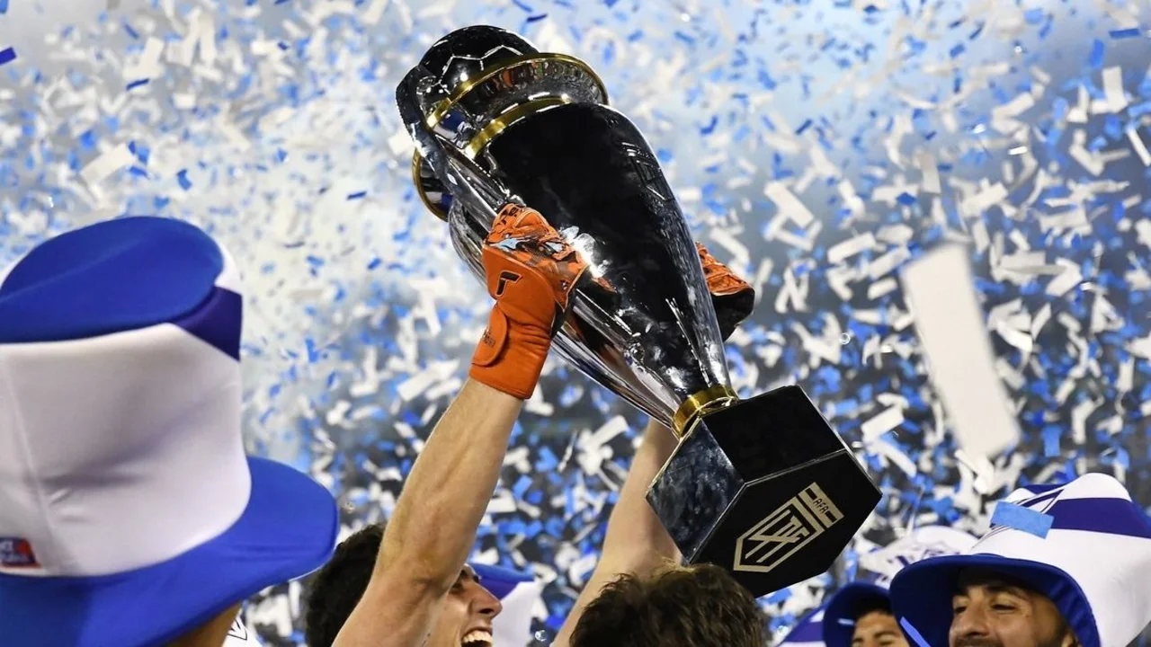 Copa de la Liga Profesional