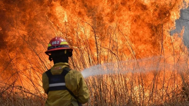 Deshidratación, vómitos y golpe de calor: un grupo de brigadistas de la Patagonia debió recibir atención médica por los incendios