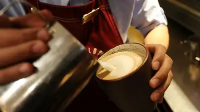 café, infusiones, café torrado, café tostado café, infusiones, café torrado, café tostado