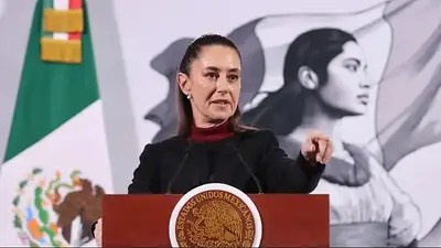 Sheinbaum denunció que un libertario argentino instiga "acciones destituyentes" en su contra Sheinbaum denunció que un libertario argentino instiga "acciones destituyentes" en su contra