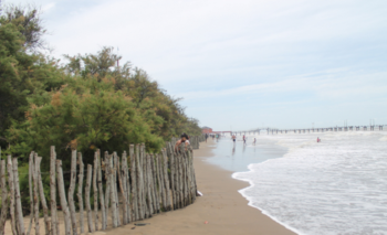 Alarma: se profundiza la pérdida de playas en la Costa Atlántica |  ambiente