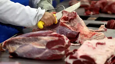 Despidos en frigorífico de Santa Fe: tras echar a 70 trabajadores, dictaron la conciliación obligatoria Despidos en frigorífico de Santa Fe: tras echar a 70 trabajadores, dictaron la conciliación obligatoria