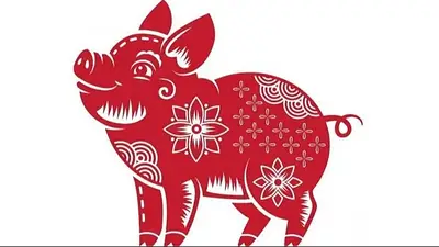 Cerdo horóscopo chino Cerdo horóscopo chino