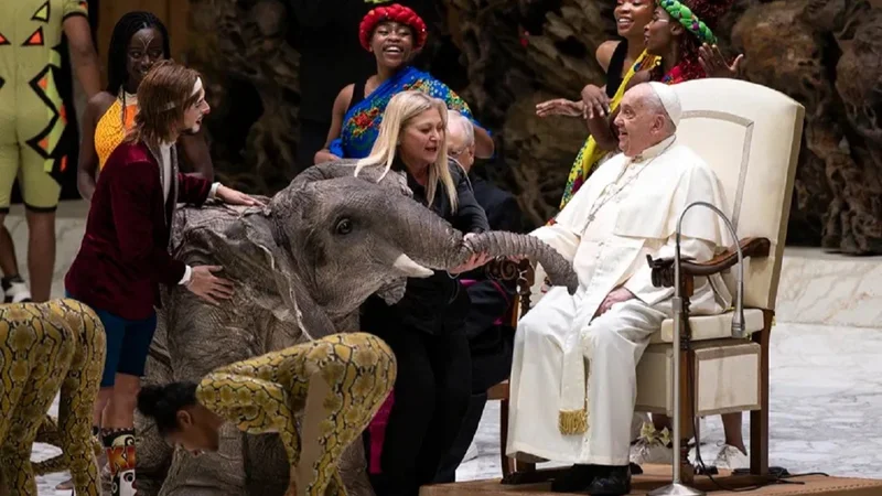 Papa Francisco