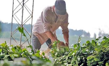 PBA impulsa el Plan Director de Caminos Rurales y ubica a Chascomús como centro piloto | Sector agrario