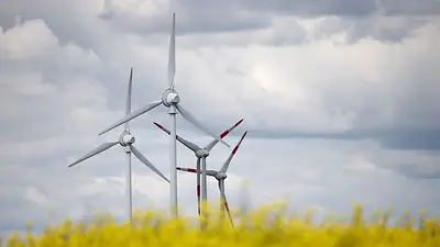 La nueva capacidad eólica de la UE en 2024 no llega al 50% de la necesaria para el objetivo climático La nueva capacidad eólica de la UE en 2024 no llega al 50% de la necesaria para el objetivo climático