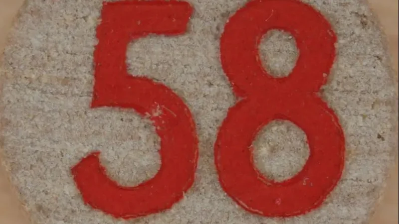 Numerología 58