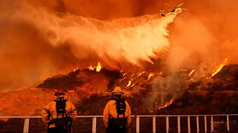 Bomberos enfrentando a las llamas
