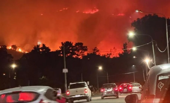 Tandil: PBA controló el voraz incendio forestal a metros del casco urbano | Incendios