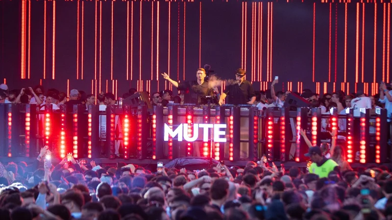 Pyramid MUTE 2024-2025.