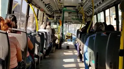 Colectivo Colectivo