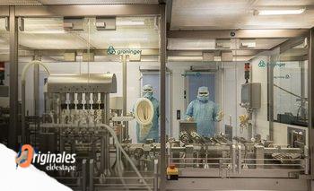 Se producirá en Argentina la vacuna más completa contra el neumococo | Ciencia 