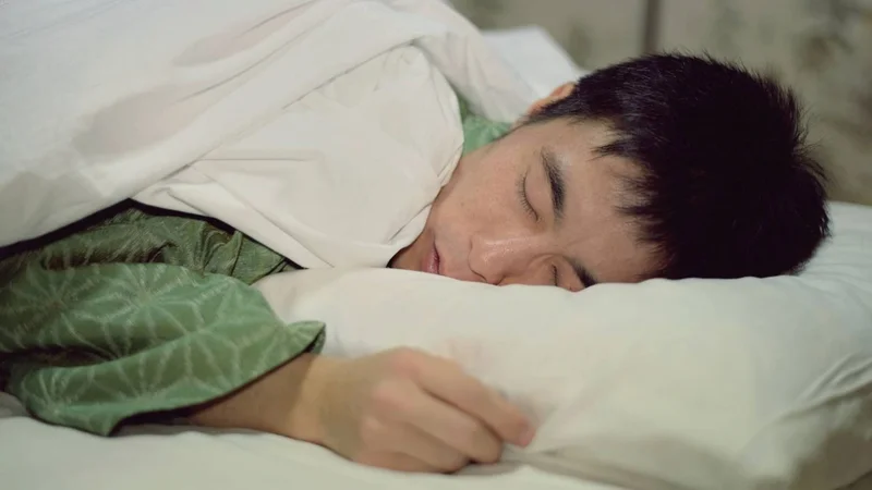 Dormir verano japón