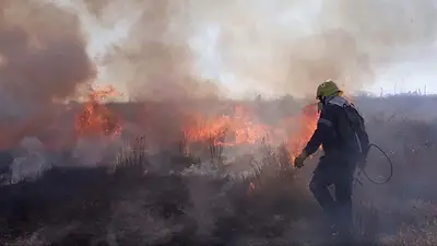 Calor extremo: cómo evitar incendios frente a las altas temperaturas del verano Calor extremo: cómo evitar incendios frente a las altas temperaturas del verano