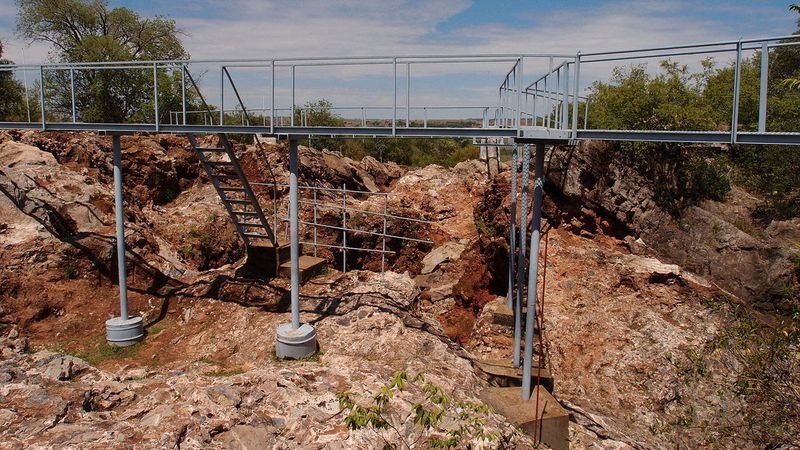 La carne no estaba en el menú del Australopithecus, un antepasado de los humanos